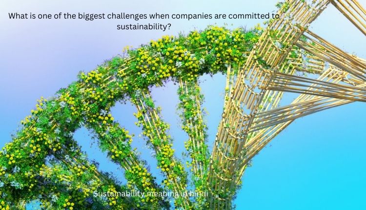 What is one of the biggest challenges when companies are committed to sustainability?