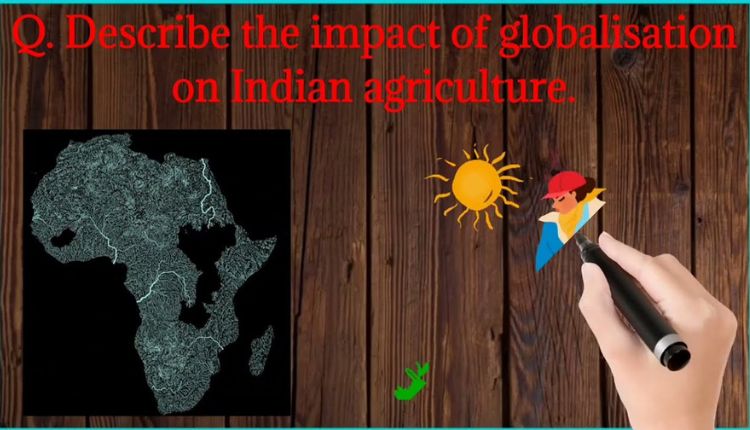 describe the impact of globalisation on indian agriculture